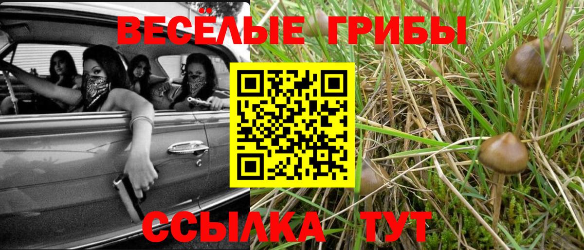 магазин  наркотиков  Галлюциногенные грибы MAGIC MUSHROOMS  Вход с VPN  Набережные Челны 