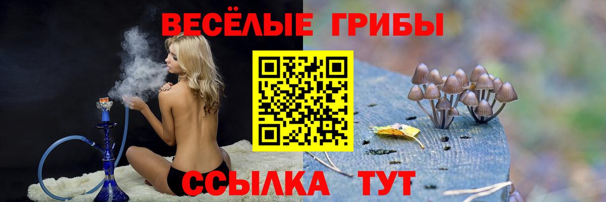 Псилоцибиновые грибы MAGIC MUSHROOMS Набережные Челны